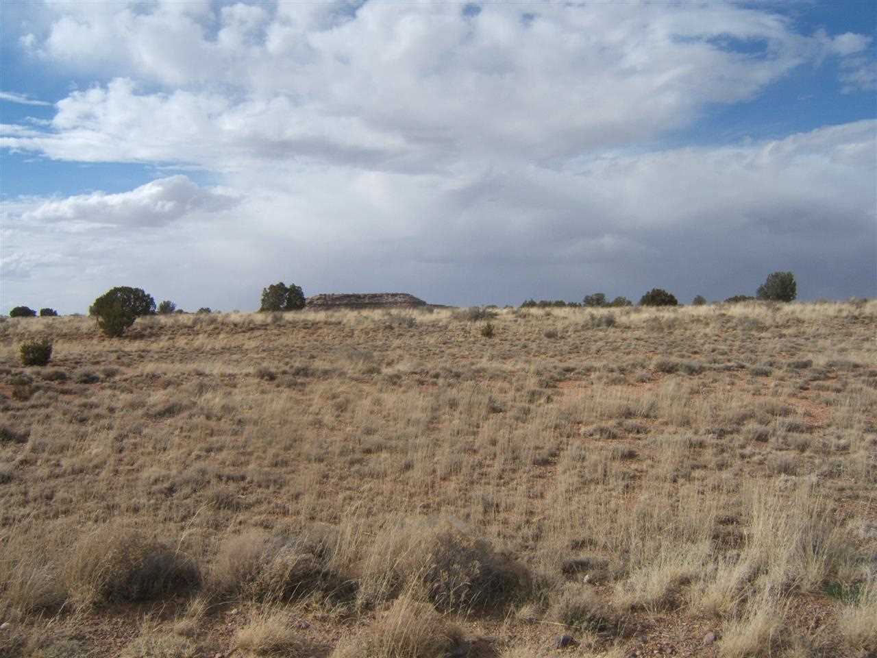 8 St Snowflake Az 85937 Snowflake, AZ 85937 - Photo 7 of 13