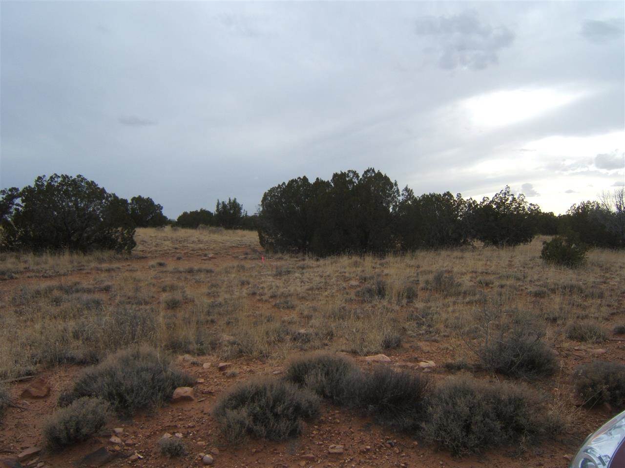 8 St Snowflake Az 85937 Snowflake, AZ 85937 - Photo 10 of 13