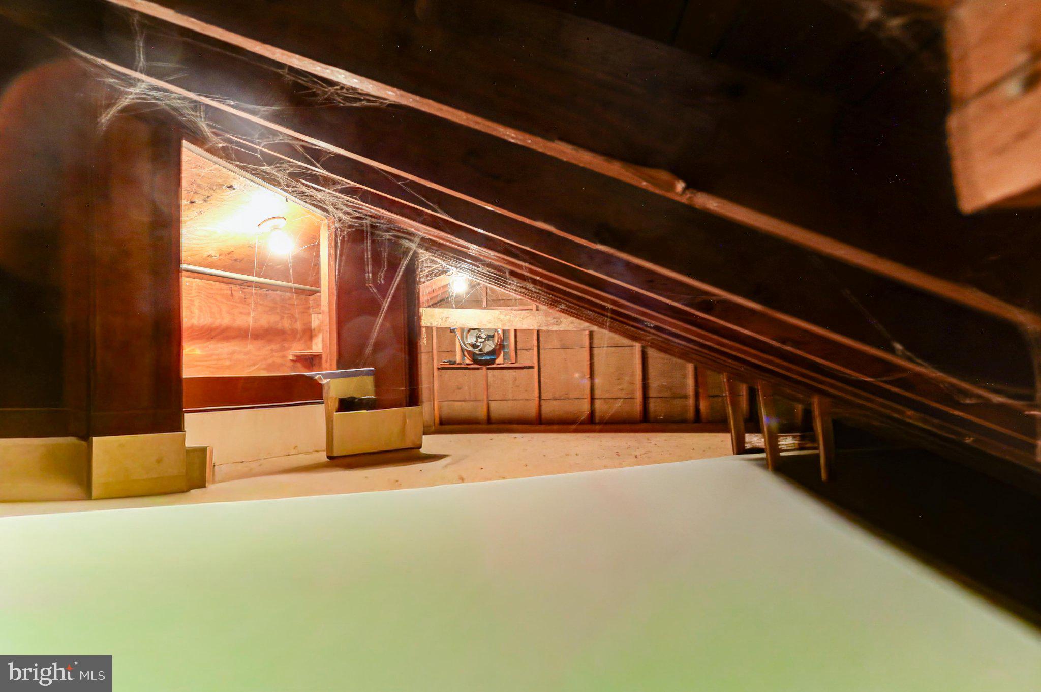 125 West Thomson Avenue Springfield, PA 19064 - Photo 39 of 41 Hidden potential in a dusty attic.