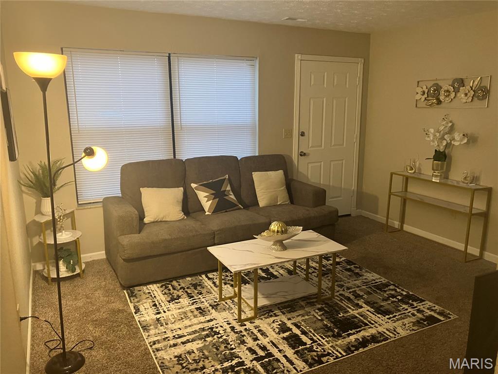 1009 Belle Valley Drive, Unit 8 Belleville, IL 62220 - Photo 1 of 17