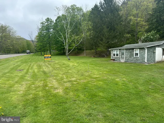 a view of a park with large trees