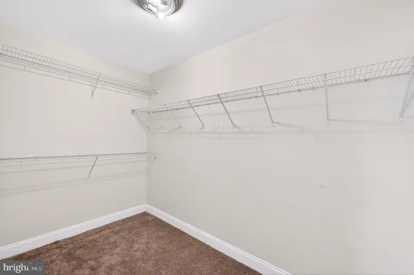 a view of a backyard with a tree