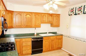 7215 Morgan Ford Road St. Louis, MO 63116 - Photo 7 of 25
