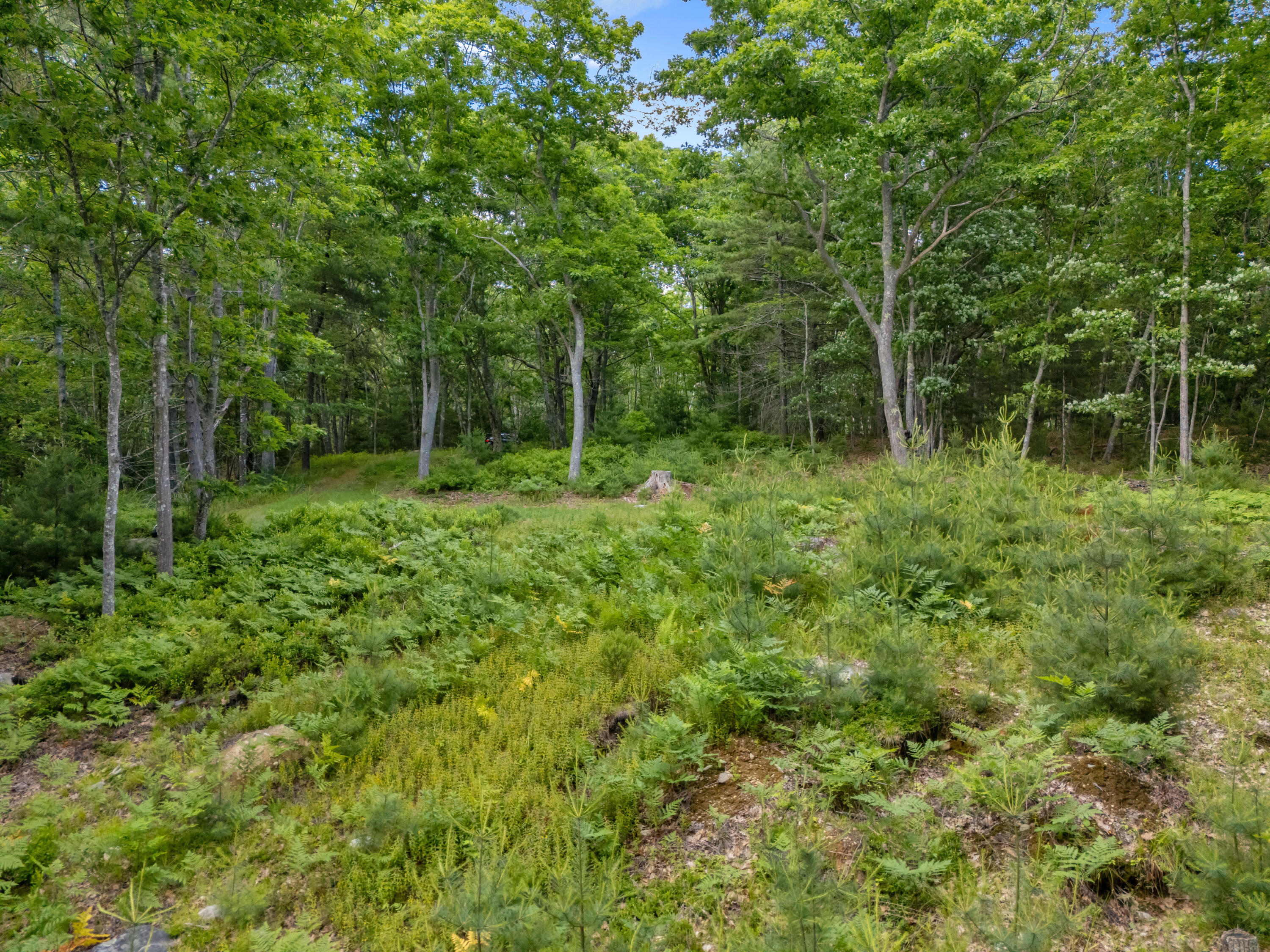 Lot 16 Captain John Parker Road Phippsburg, ME 04562 - Photo 25 of 29 DJI_20260619181244_0402_D