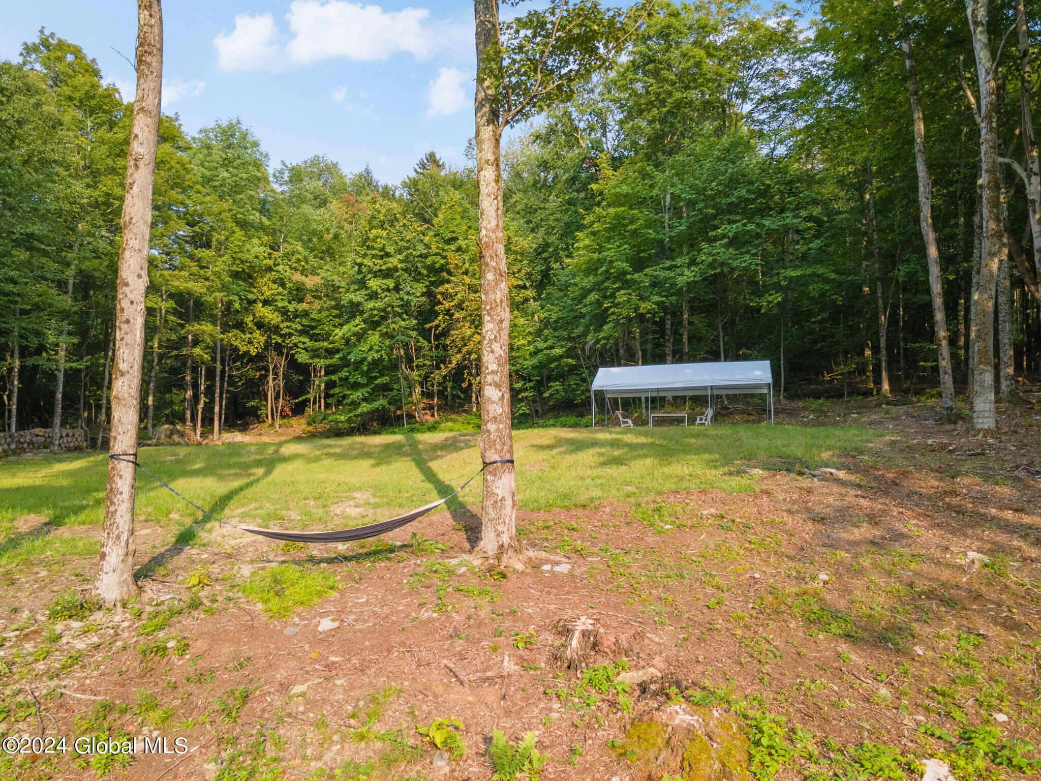1136 Enid Road Summit, NY 12175 - Photo 32 of 52 45-1136EnidRd_45