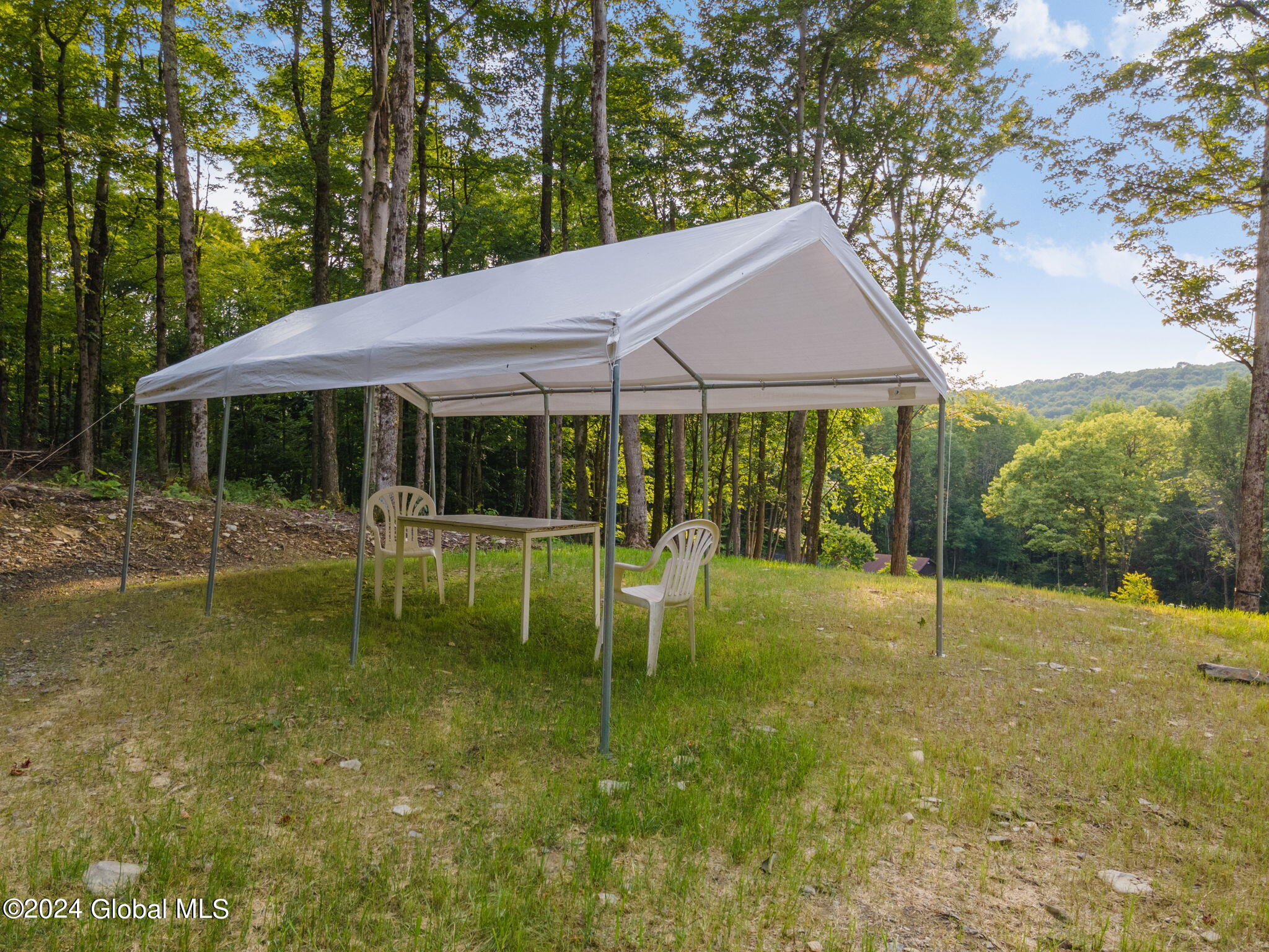 1136 Enid Road Summit, NY 12175 - Photo 34 of 52 48-1136EnidRd_48