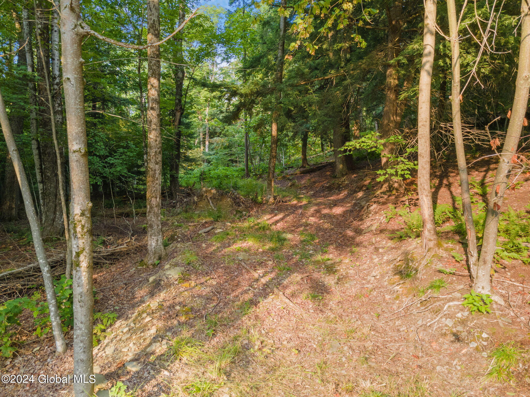 1136 Enid Road Summit, NY 12175 - Photo 37 of 52 35-1136EnidRd_35