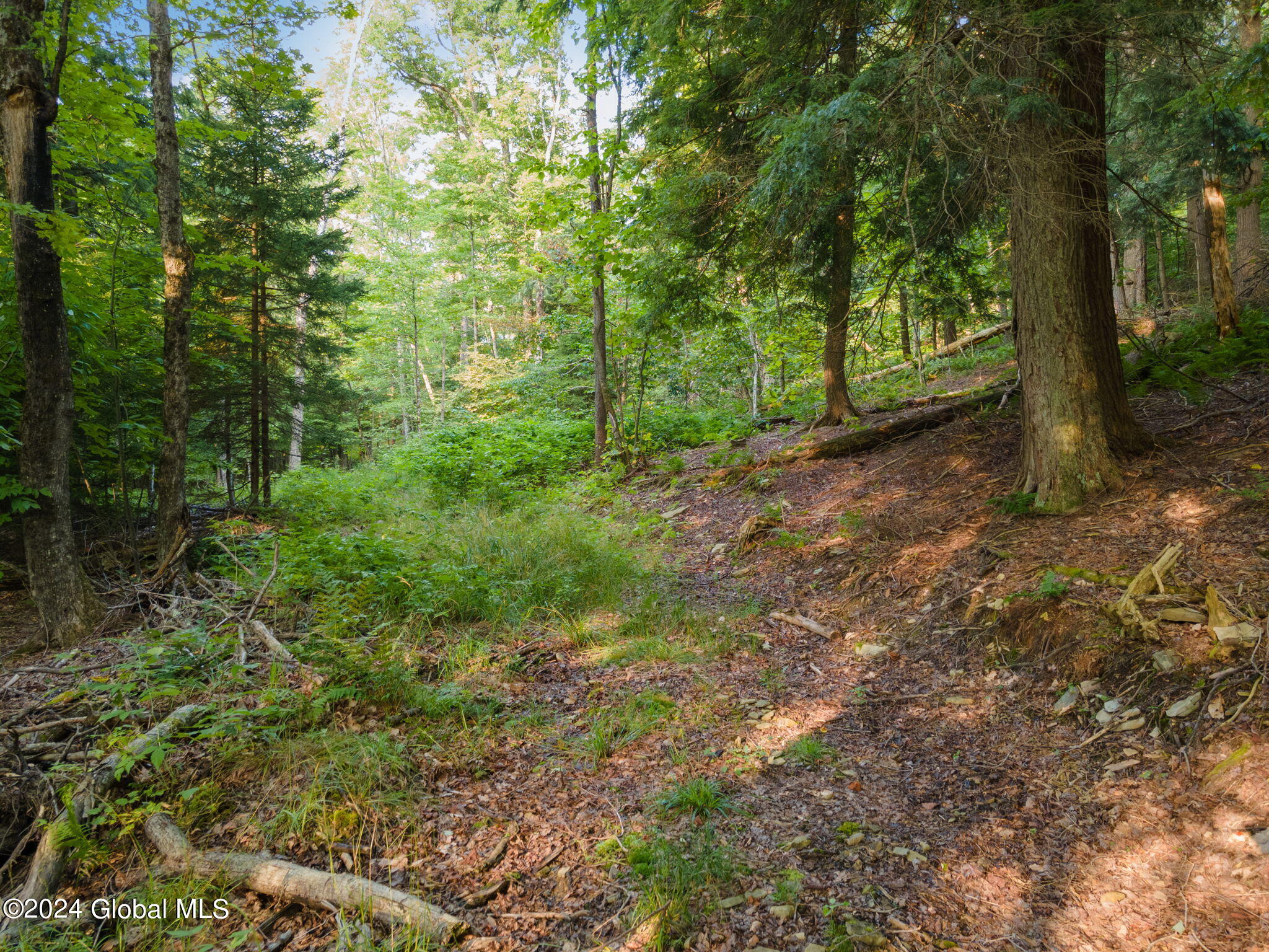 1136 Enid Road Summit, NY 12175 - Photo 38 of 52 36-1136EnidRd_36