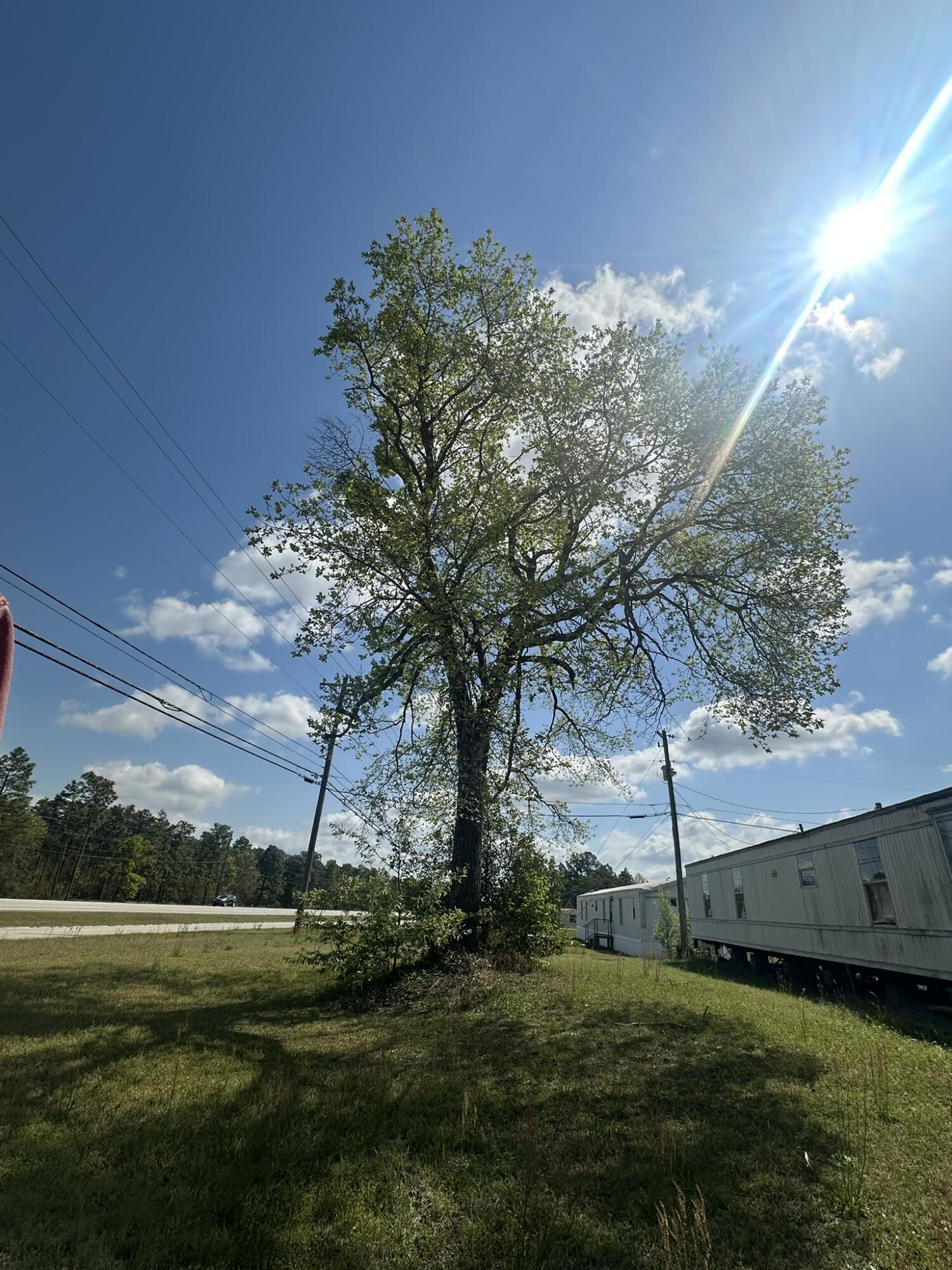2454 Tobacco Road Hephzibah, GA 30815 - Photo 3 of 28 IMG_1925