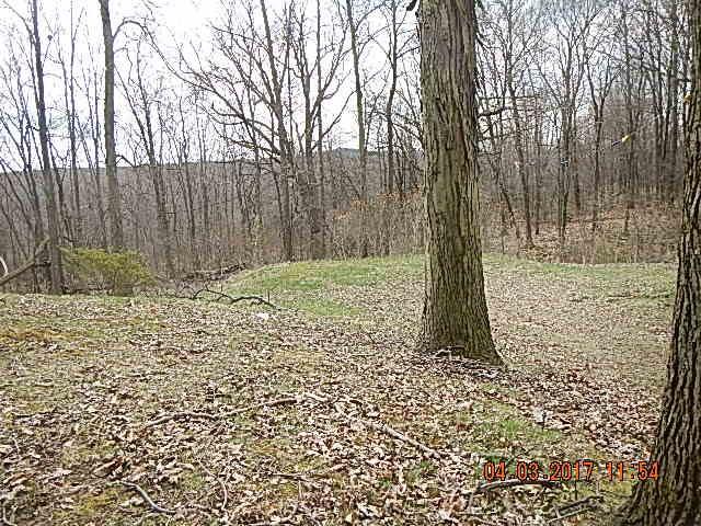 3006 County Line Road New Castle, PA 16101 - Photo 17 of 20