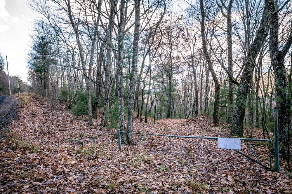 22 Buck Ridges Road Franklin, WV 26807 - Photo 1 of 22 a view of a yard with trees
