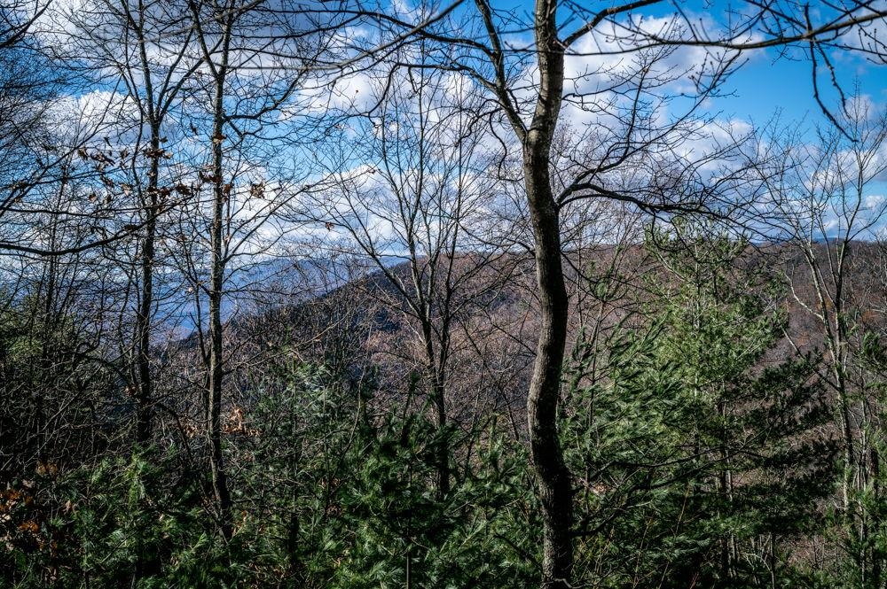 22 Buck Ridges Road Franklin, WV 26807 - Photo 11 of 22 a view of a yard
