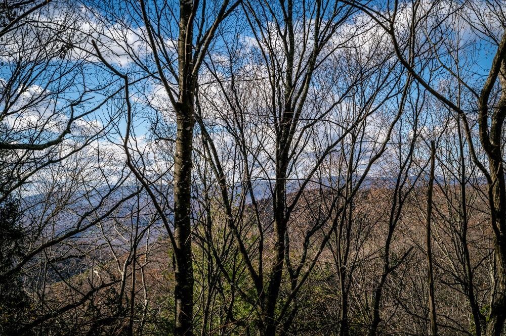 22 Buck Ridges Road Franklin, WV 26807 - Photo 13 of 22 a backyard of a house with lots of trees