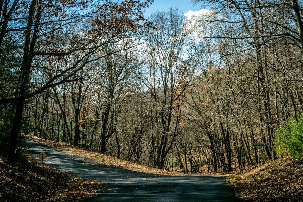 22 Buck Ridges Road Franklin, WV 26807 - Photo 19 of 22 a view of backyard with green space