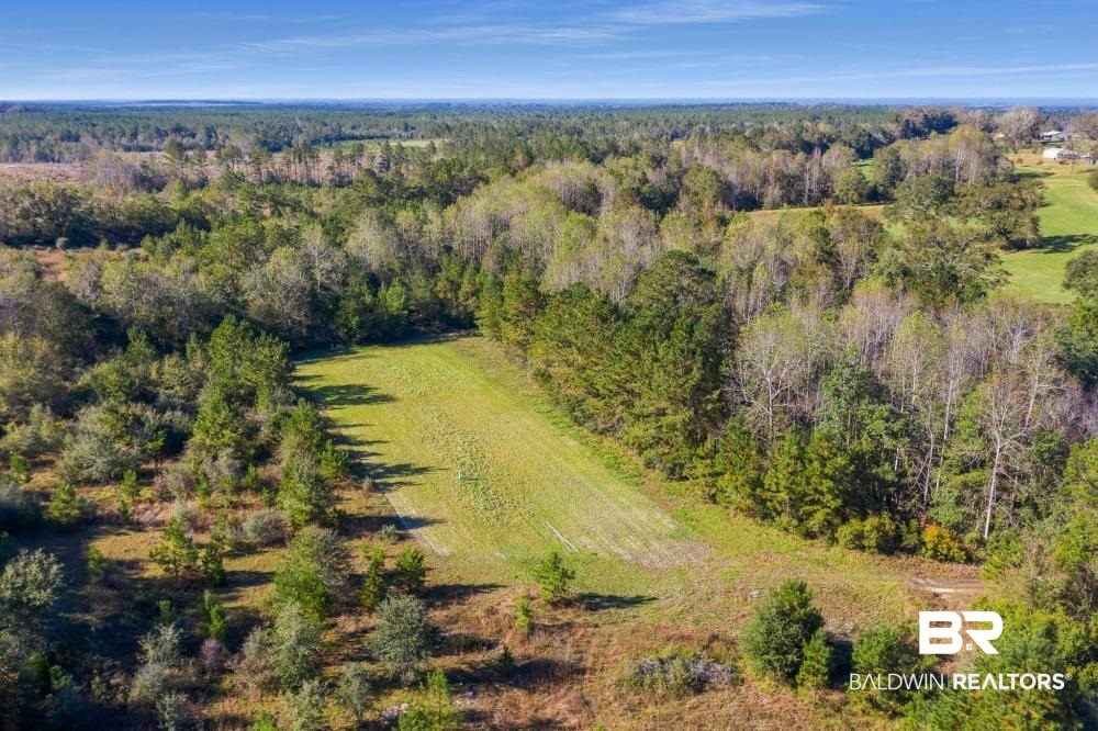 5469 County Road 55 Florala, AL 36442 - Photo 40 of 49