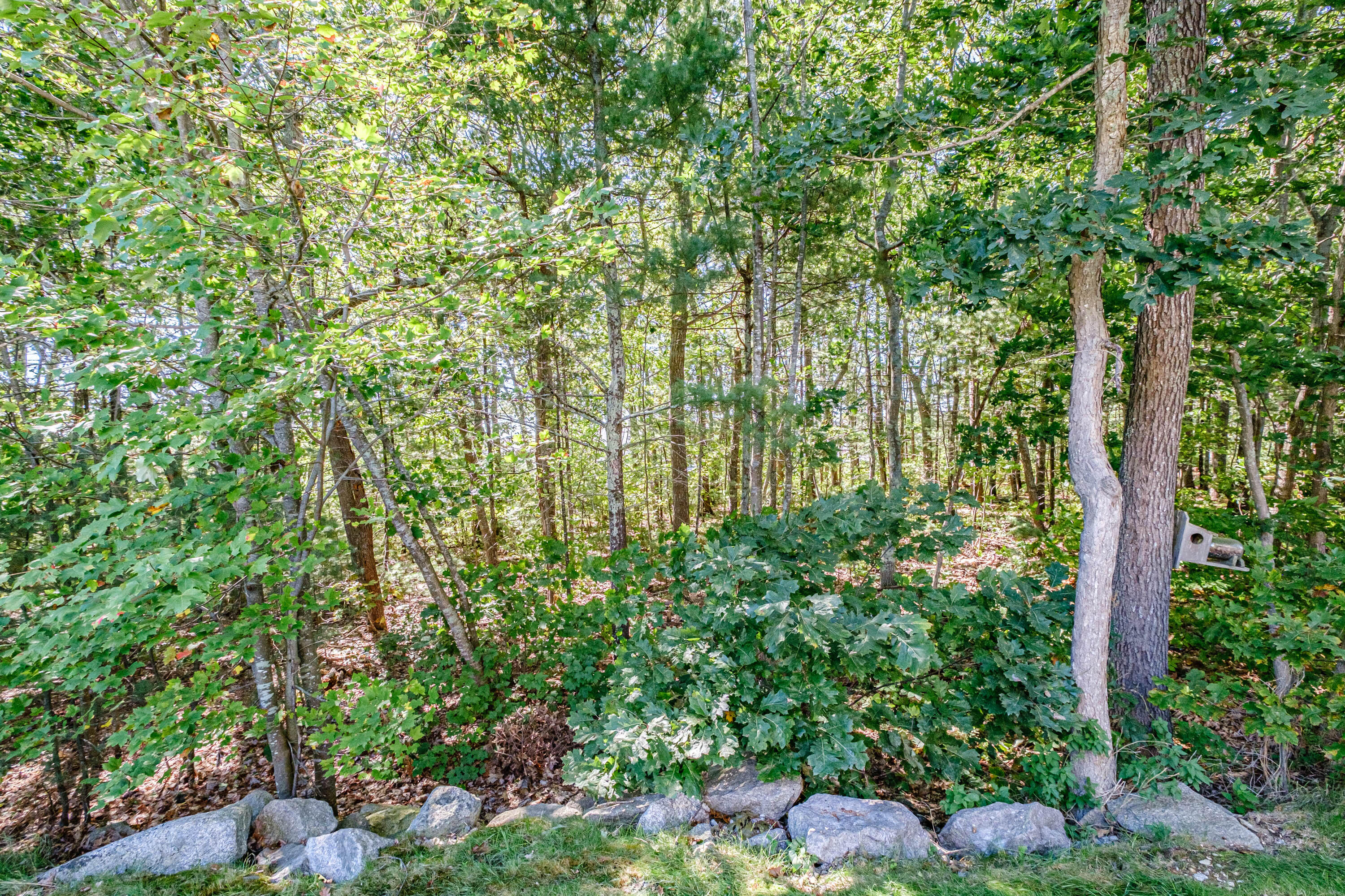 32 Parker Ridge Road Biddeford, ME 04005 - Photo 63 of 71 20220927gp-62093