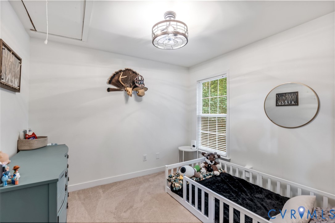 7195 Railroad Bed Road Carson, VA 23830 - Photo 21 of 28