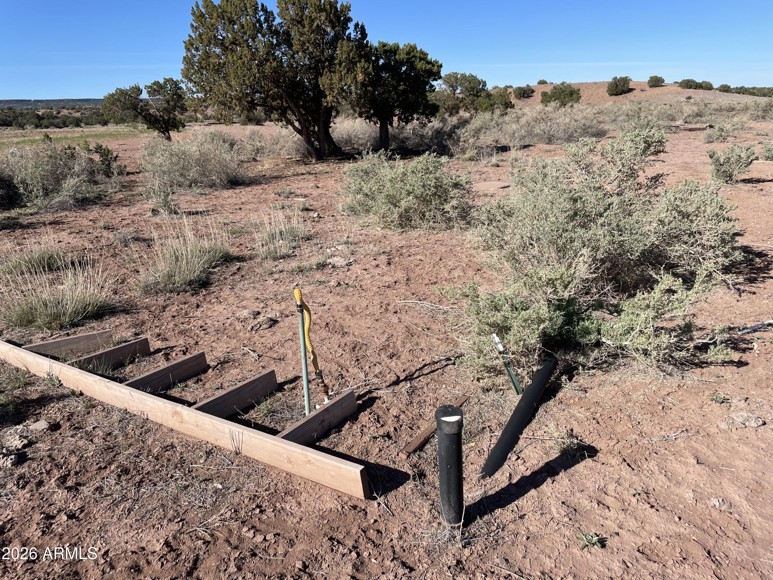 134 County Rd N6404, Unit 162 St. Johns, AZ 85936 - Photo 12 of 13 a view of a dry yard with trees