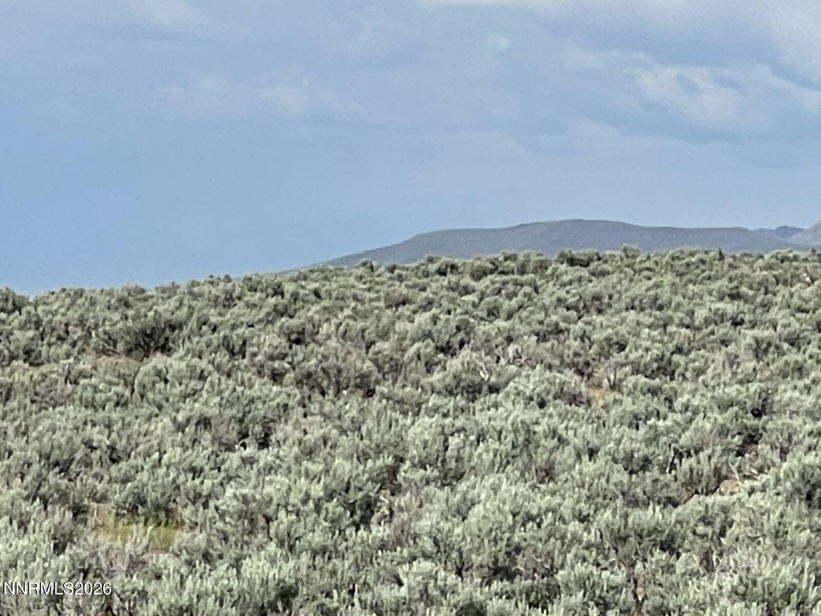 10 Button Point Road Golconda, NV 89414 - Photo 12 of 25