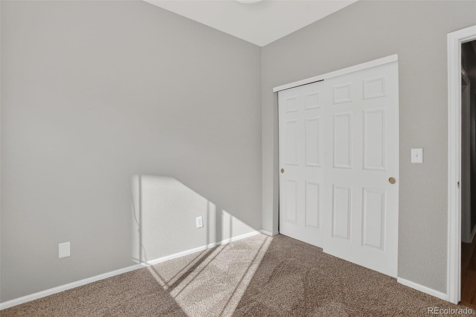 2254 Broadleaf Loop Castle Rock, CO 80109 - Photo 22 of 38