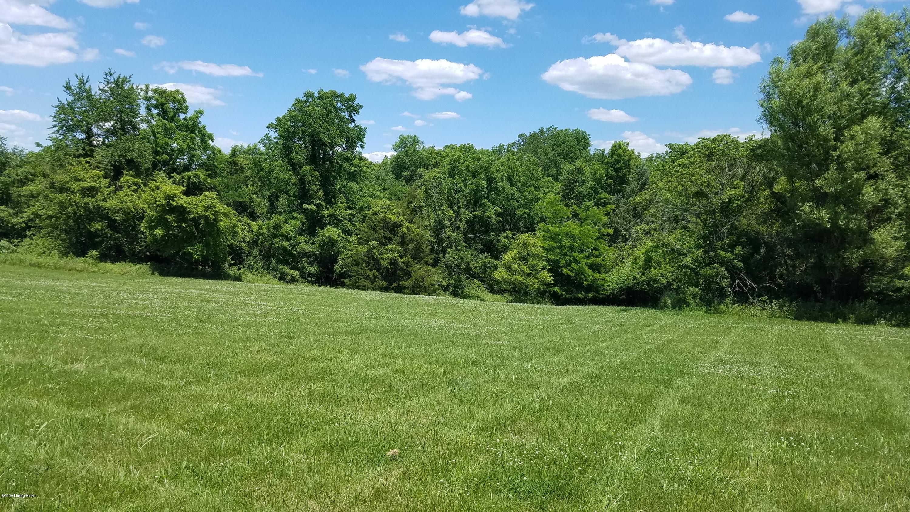656 New Cut Road Campbellsburg, KY 40011 - Photo 1 of 6 20200612_134910