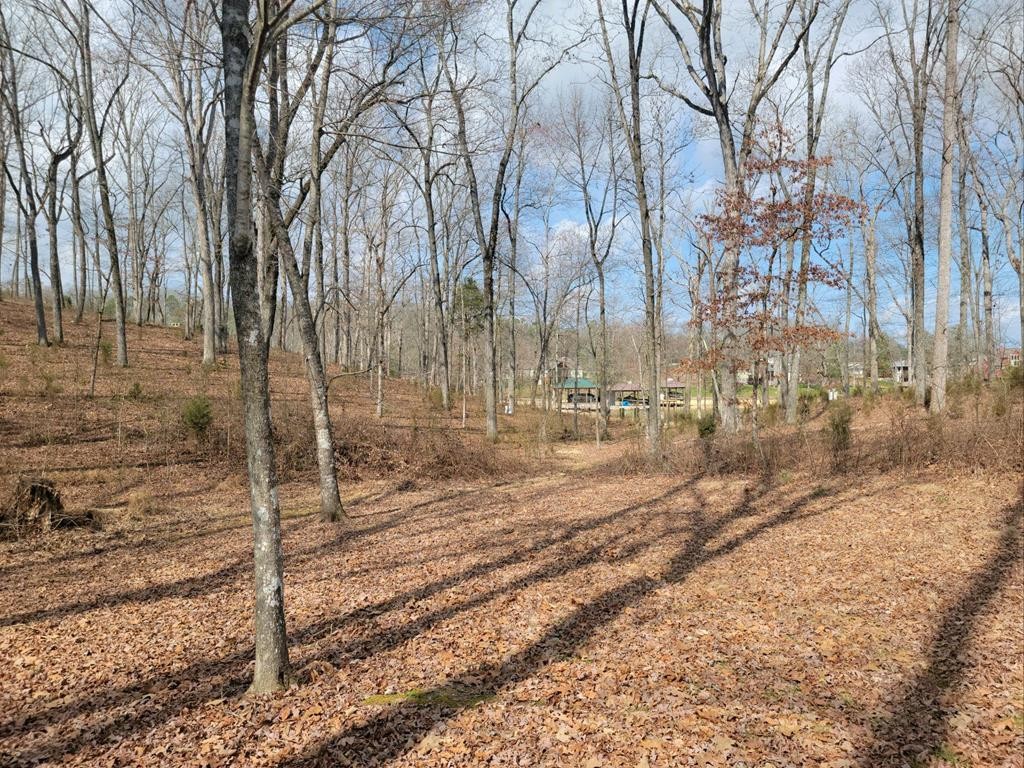 0 Waterfront Way Spring City, TN 37381 - Photo 1 of 31 Gallery Image 1