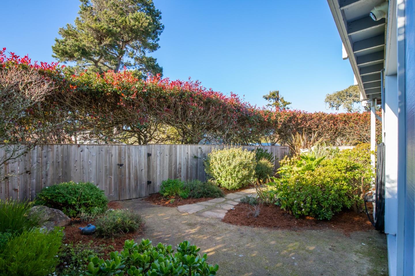 404 Arbolado Drive La Selva Beach, CA 95076 - Photo 28 of 36 a view of a pathway in a garden