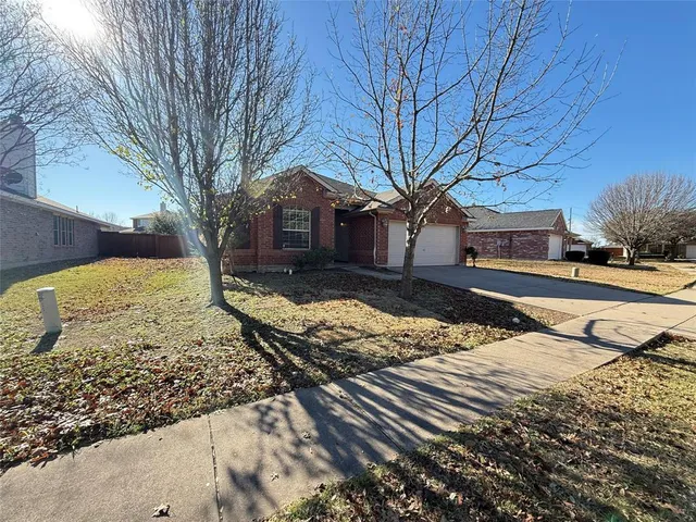a view of a yard with a large tree