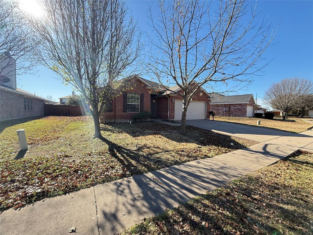 3251 Torio Grand Prairie, TX 75054 - Photo 3 of 23 a view of a yard with a large tree