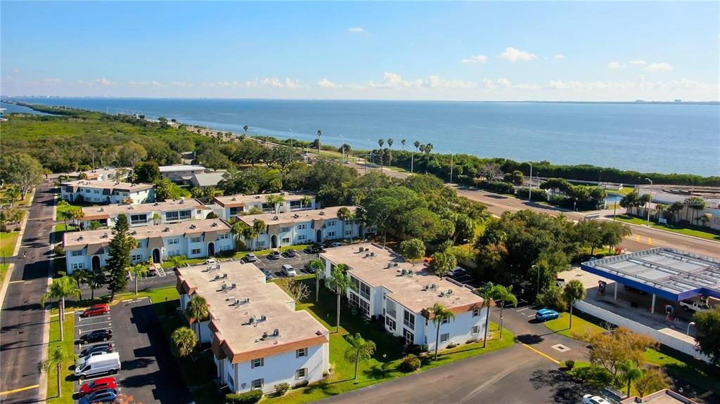 355 McMullen Booth Road, Unit 116 Clearwater, FL 33759 - Photo 29 of 39