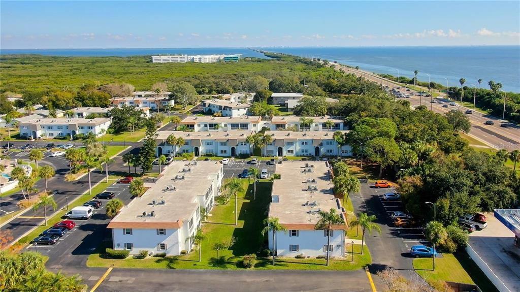 355 McMullen Booth Road, Unit 116 Clearwater, FL 33759 - Photo 30 of 39