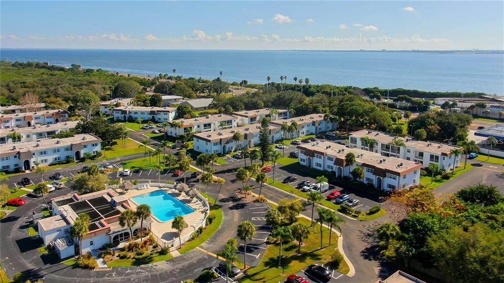 355 McMullen Booth Road, Unit 116 Clearwater, FL 33759 - Photo 31 of 39