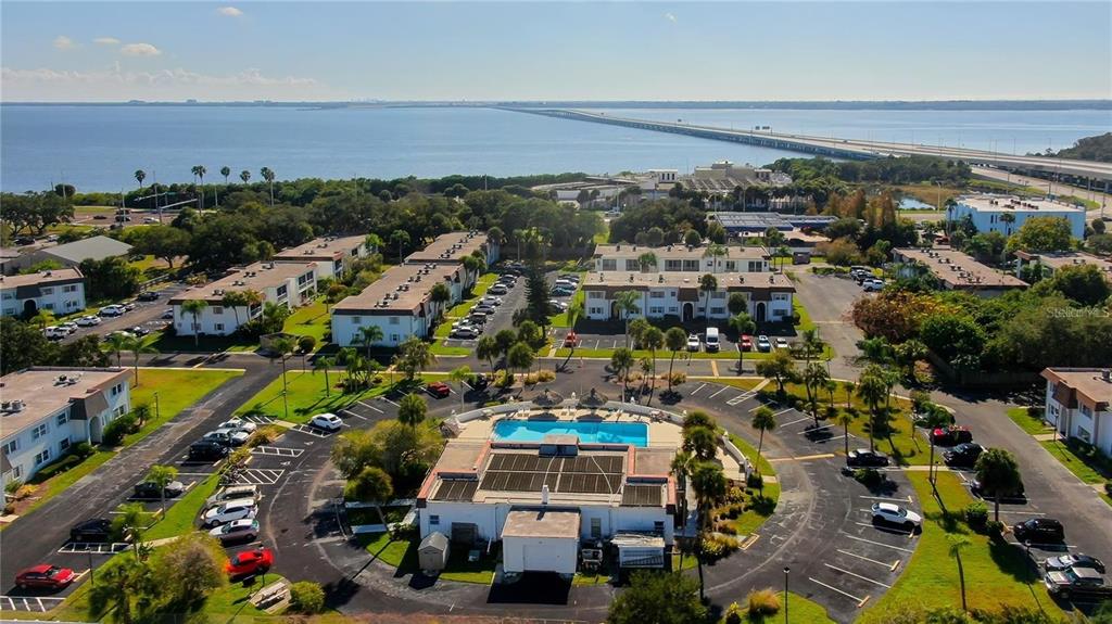 355 McMullen Booth Road, Unit 116 Clearwater, FL 33759 - Photo 32 of 39