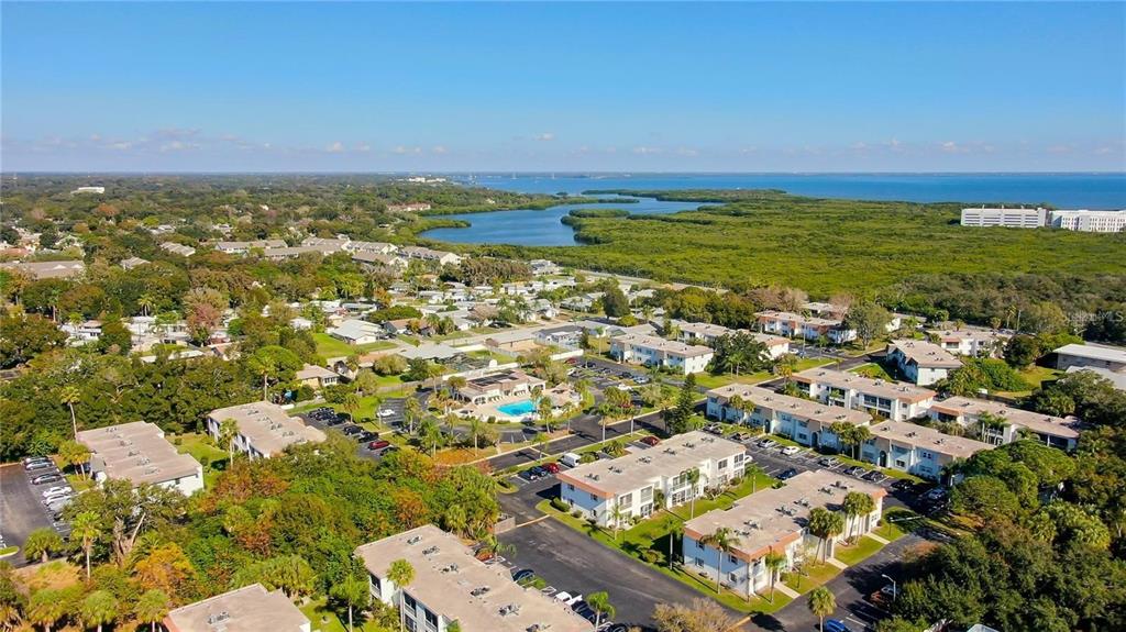 355 McMullen Booth Road, Unit 116 Clearwater, FL 33759 - Photo 36 of 39