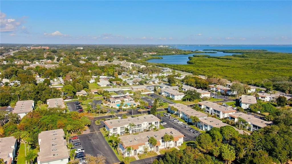 355 McMullen Booth Road, Unit 116 Clearwater, FL 33759 - Photo 37 of 39