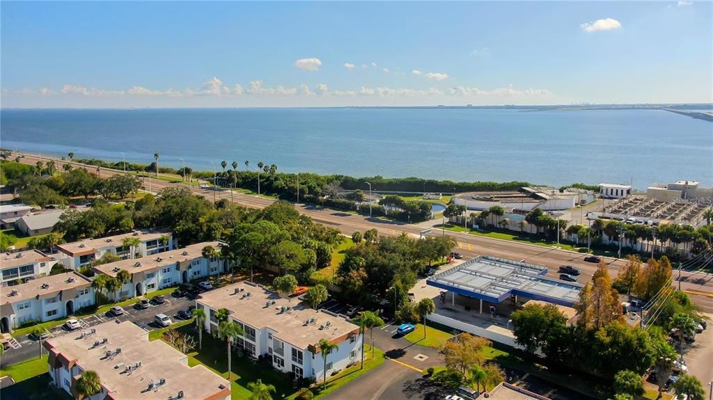 355 McMullen Booth Road, Unit 116 Clearwater, FL 33759 - Photo 38 of 39