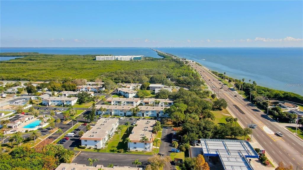 355 McMullen Booth Road, Unit 116 Clearwater, FL 33759 - Photo 39 of 39