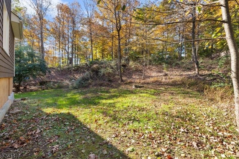 224 Mt Horeb Road, Unit 2 Warren, NJ 07059 - Photo 20 of 22