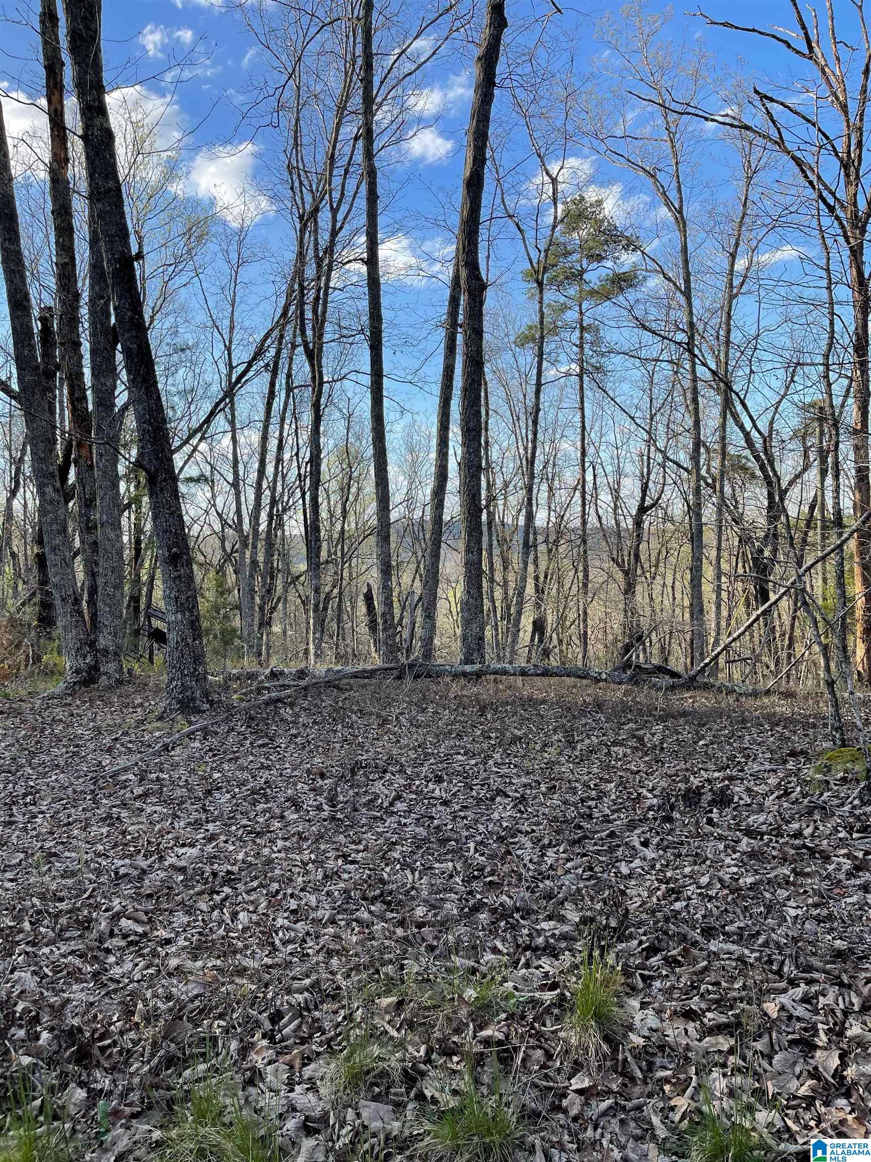 Lot 1 Statum Farm Road, Unit 1 Columbiana, AL 35051 - Photo 8 of 12
