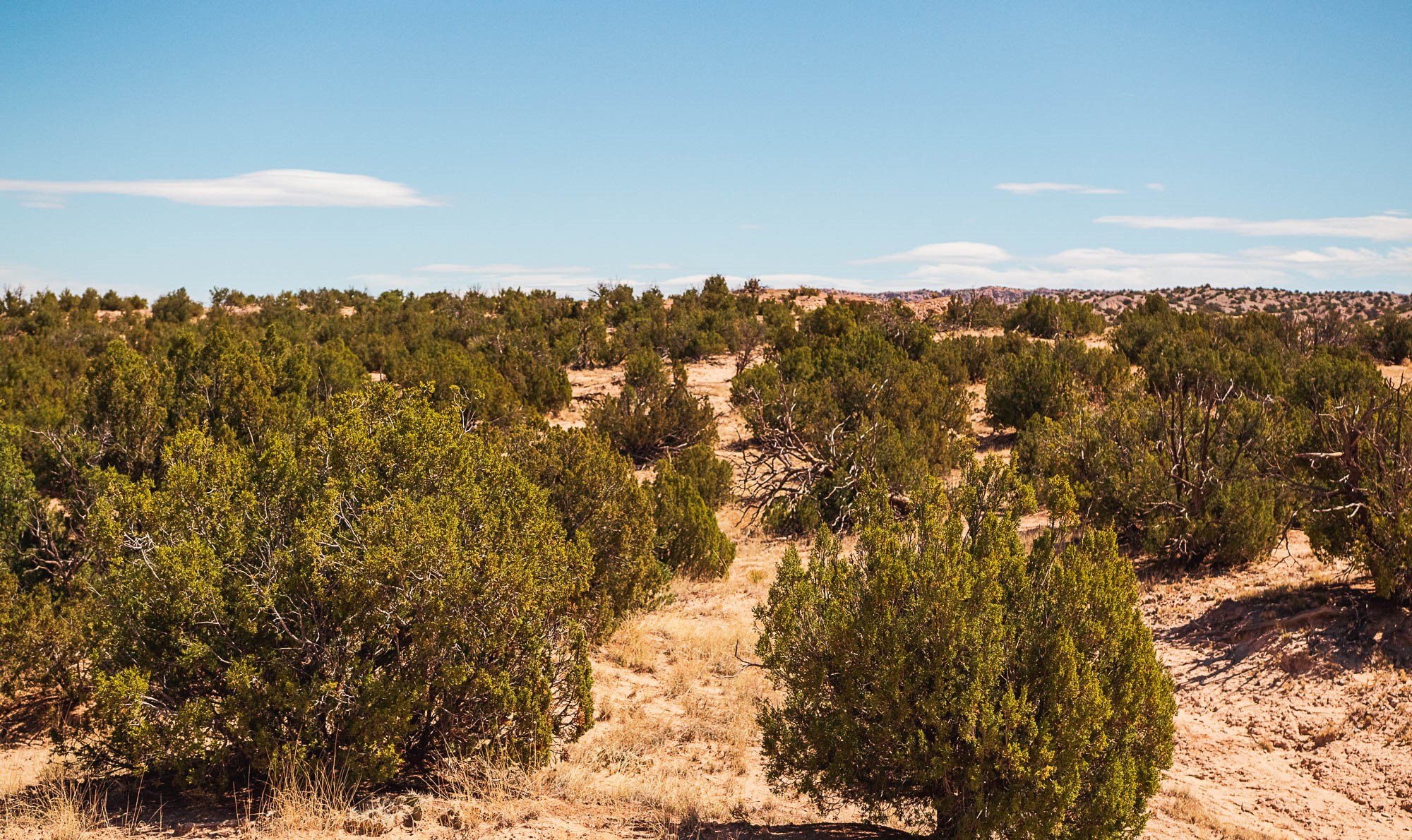 0 El Rito Estates Abiquiu, NM 87510 - Photo 36 of 56