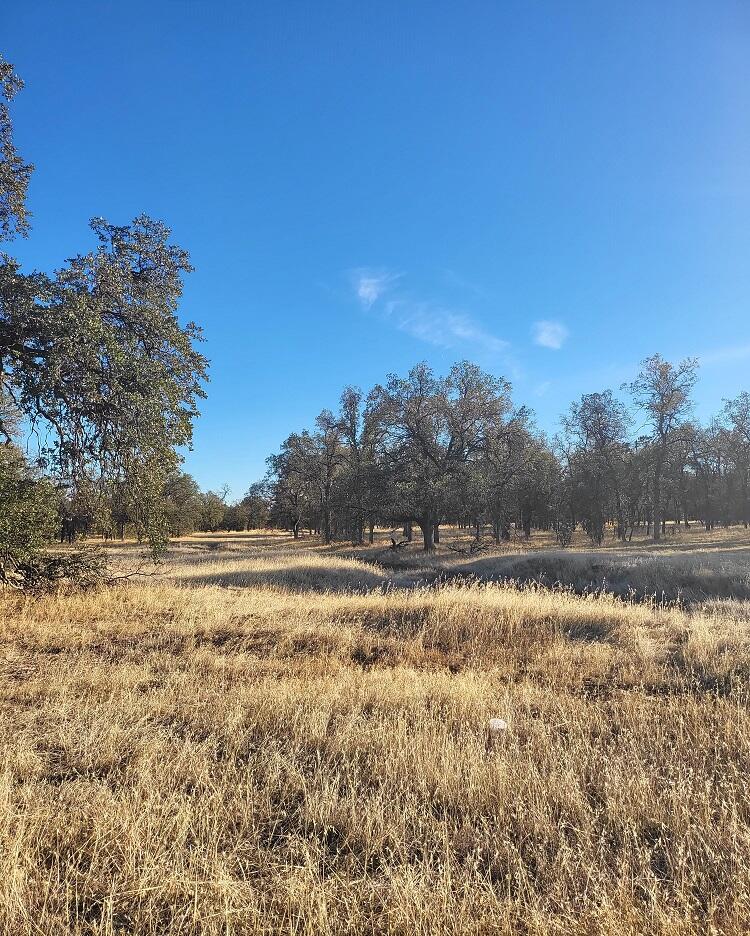 3035 Argyle Road Redding, CA 96002 - Photo 5 of 10 20221027_164914