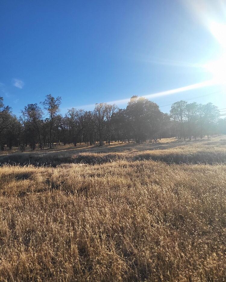 3035 Argyle Road Redding, CA 96002 - Photo 6 of 10 20221027_164916