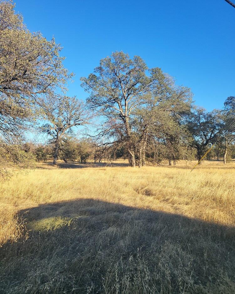 3035 Argyle Road Redding, CA 96002 - Photo 10 of 10 20221027_165319