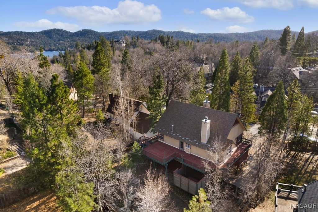 28070 West Shore Road Lake Arrowhead, CA 92352 - Photo 3 of 39