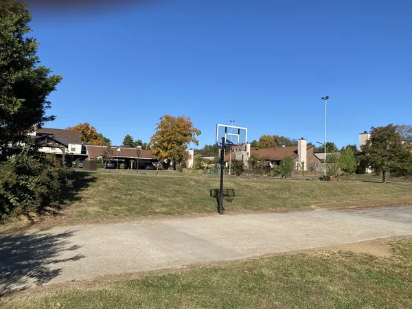 a view of a yard with a house
