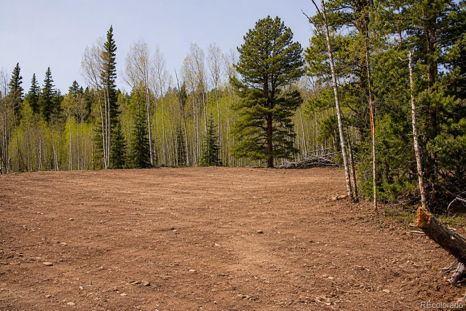 940 Lewsader Road Alma, CO 80420 - Photo 23 of 23