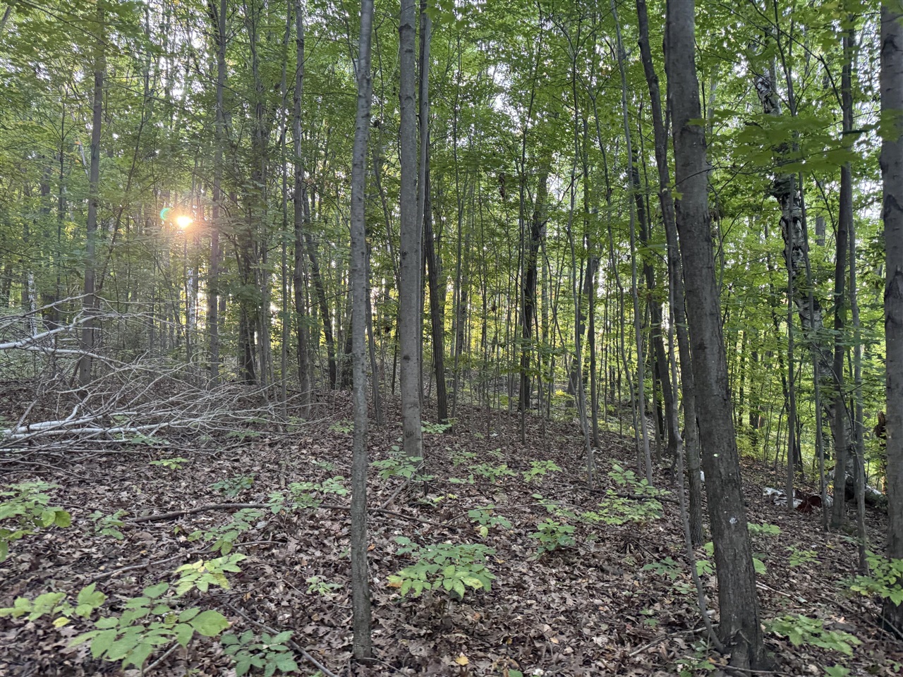 15 15 Mile Road Leroy, MI 49655 - Photo 7 of 14