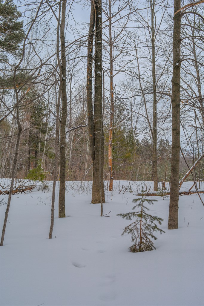 Lot 2 Daisy Patch Road Fish Creek, WI 54212 - Photo 14 of 14