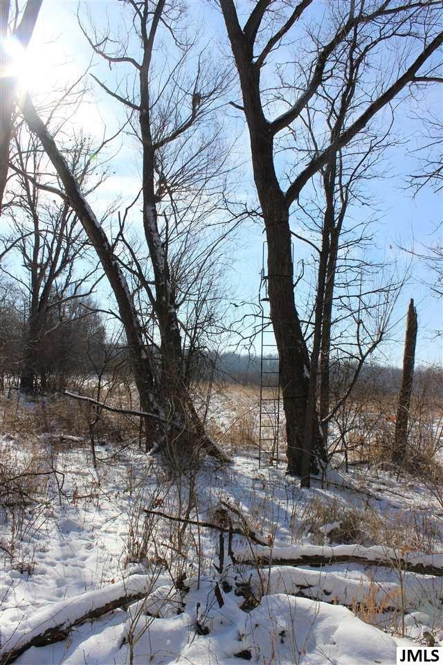 8654 Reynolds Road Horton, MI 49246 - Photo 11 of 13 Photo 11