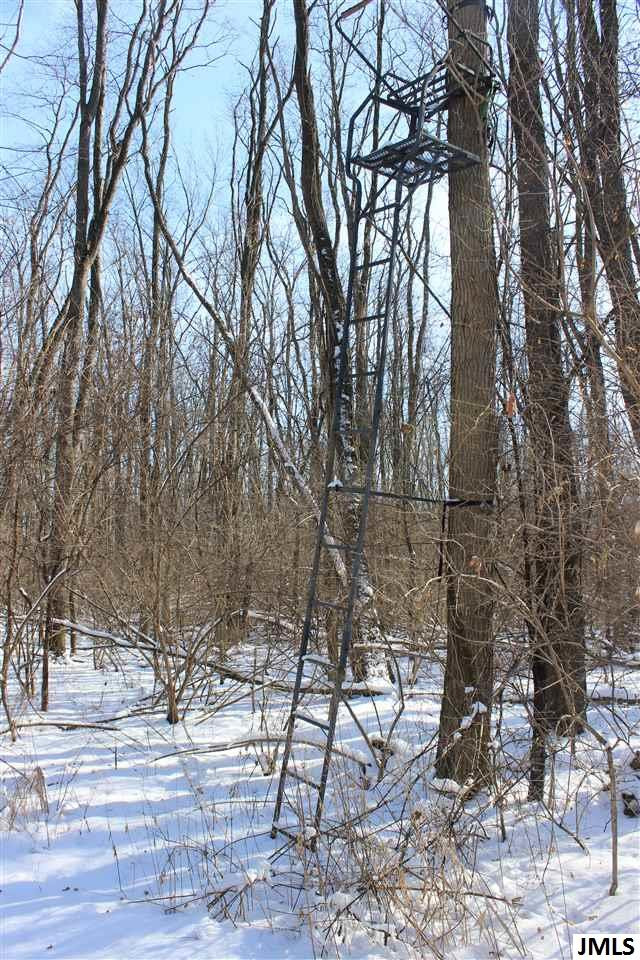 8654 Reynolds Road Horton, MI 49246 - Photo 12 of 13 Photo 12